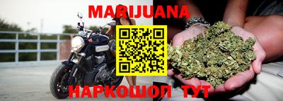 прущие крисы Славгород